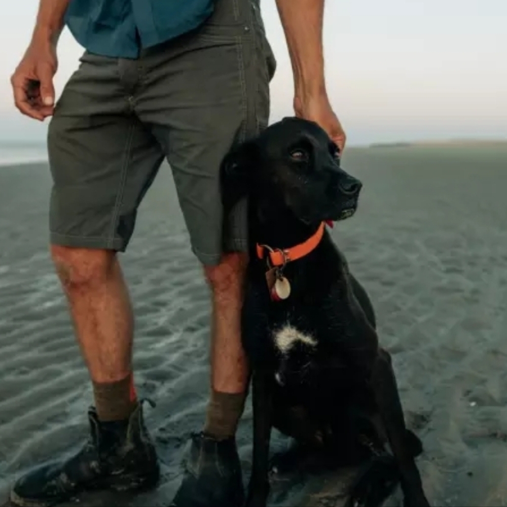Kuhl Men's Dark Gray Cargo Shorts - Picture 6 of 8